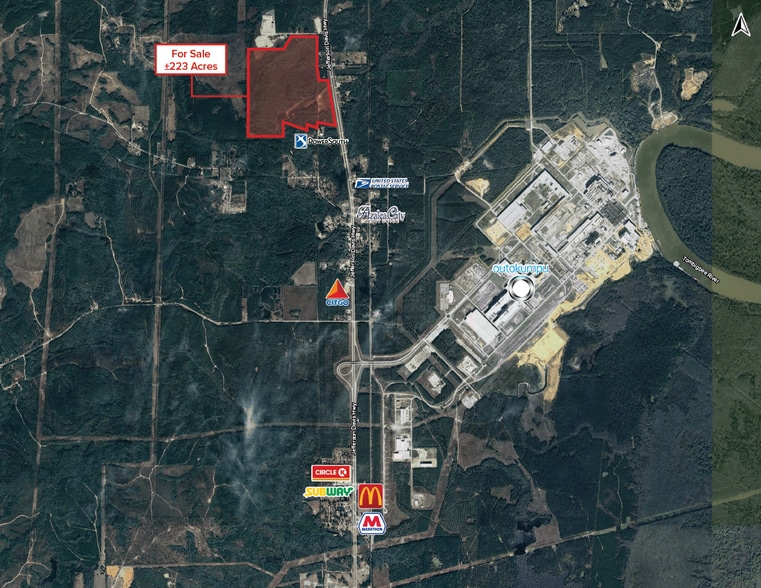 223 Acres on Hwy 43, Calvert, AL for sale - Aerial - Image 3 of 3