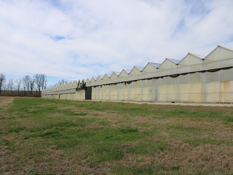 1481 N 930 East Rd, Taylorville, IL for sale - Building Photo - Image 3 of 6