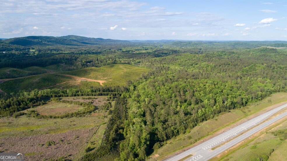 0 Old Blacks Bluff Rd, Rome, GA for sale - Building Photo - Image 3 of 25