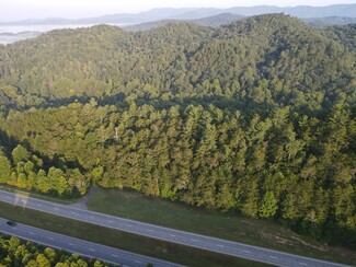 More details for N Hwy 515, Cherry Log, GA - Land for Sale