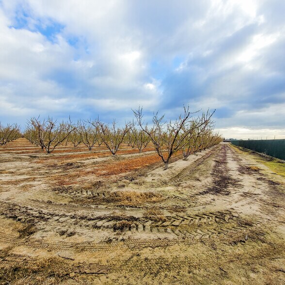 SWC Kern St, Kingsburg, CA 93631