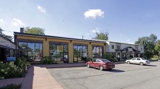 More details for 208 S Elm St, Three Oaks, MI - Retail for Sale