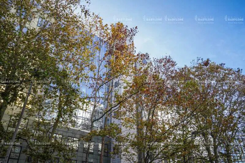 259-261 Rue De Paris, Montreuil for sale Building Photo- Image 1 of 1