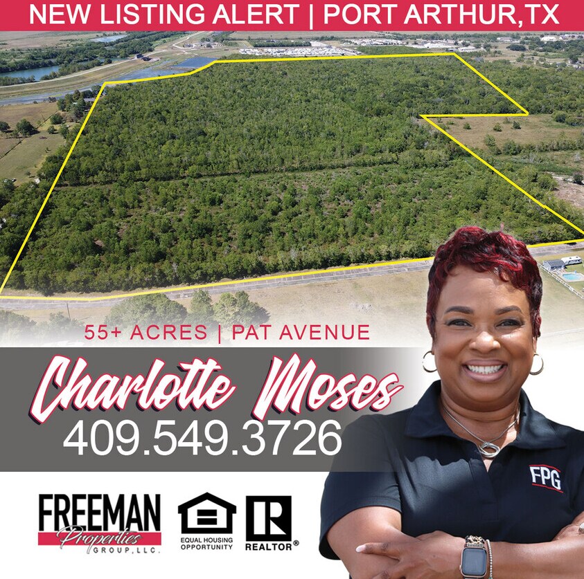 Fm 365, Port Arthur, TX for sale Aerial- Image 1 of 1