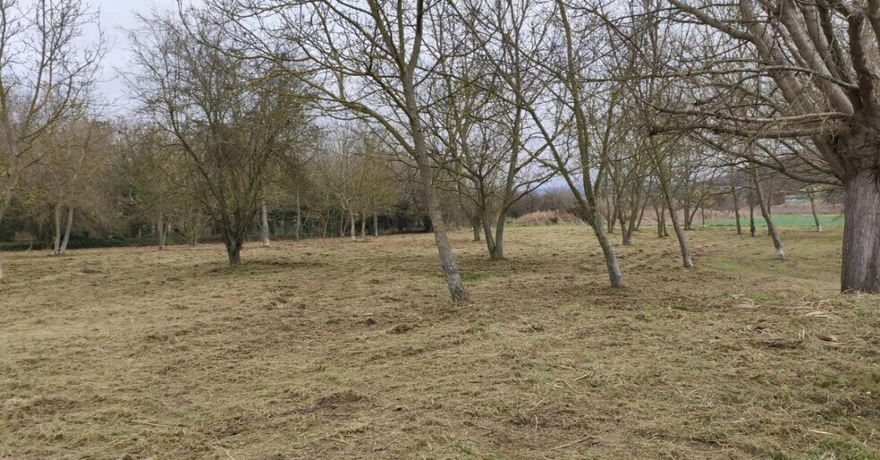 Land in Tona, Barcelona for sale - Construction Photo - Image 2 of 4