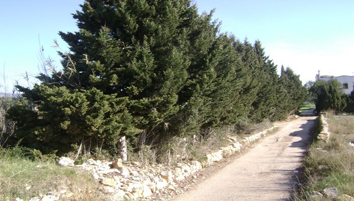 Land in Torredembarra, Tarragona for sale - Construction Photo - Image 3 of 4