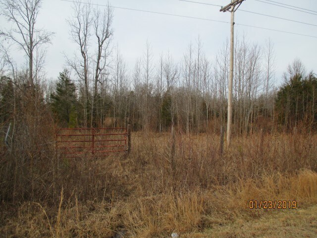 Berea Rd, Rougemont, NC for sale Primary Photo- Image 1 of 1