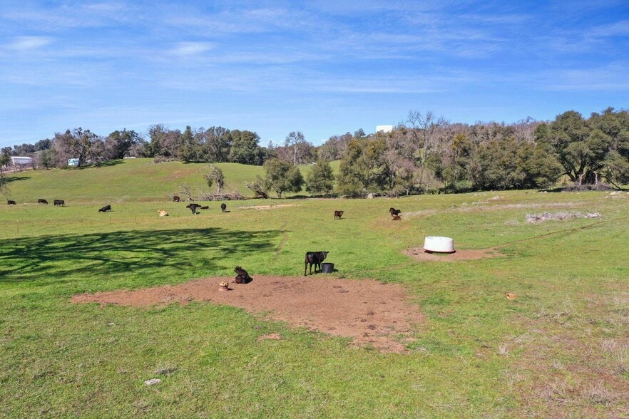 1229 Murray Creek, San Andreas, CA for sale - Building Photo - Image 2 of 13