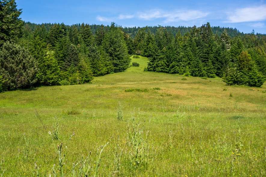 16401 South Highway 1, Manchester, CA for sale - Building Photo - Image 2 of 52