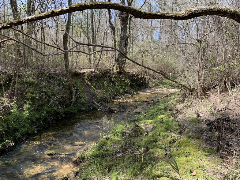 Roberson Rd, Rockmart, GA for sale - Primary Photo - Image 1 of 1