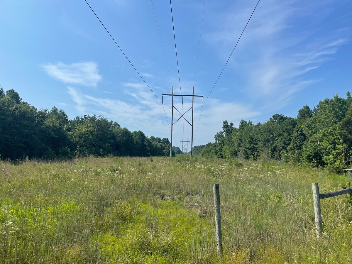 Hwy 903 byp, Magnolia, NC 28453