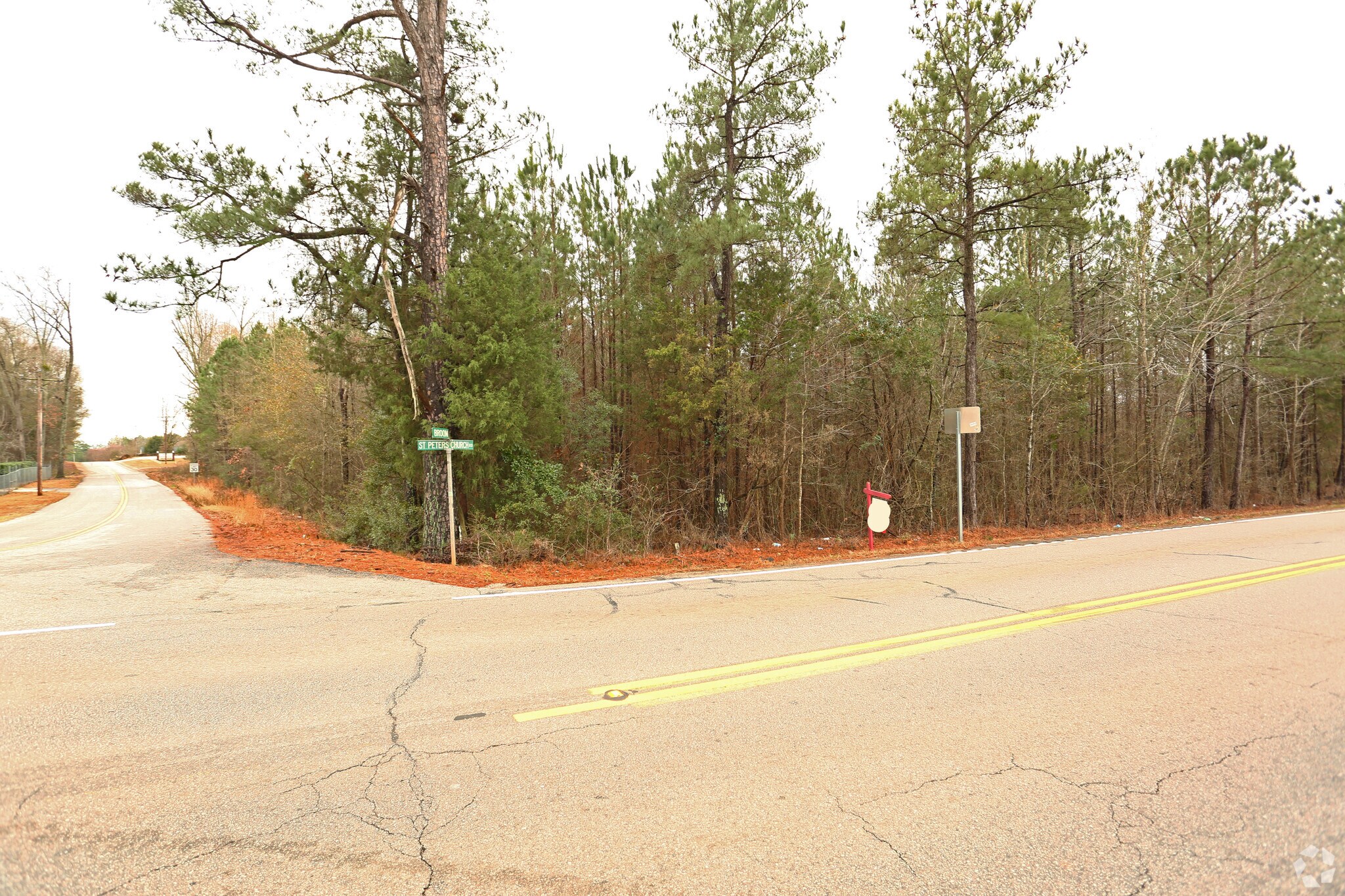 209 Saint Peters Church Rd, Chapin, SC for sale Primary Photo- Image 1 of 1