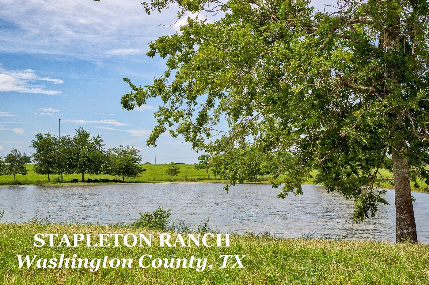 Stapleton Ranch, Brenham, TX for sale Other- Image 1 of 1