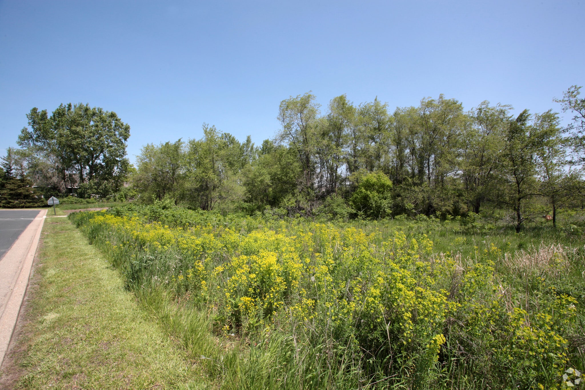 Diffley Rd, Eagan, MN for sale Primary Photo- Image 1 of 5