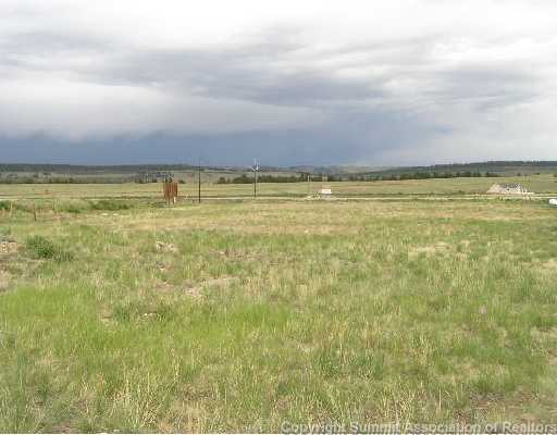 1197 Bullet Rd, Fairplay, CO for sale Primary Photo- Image 1 of 1