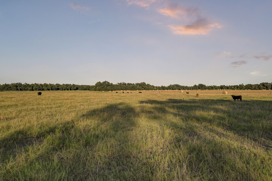 TBD FM 973, Taylor, TX for sale - Other - Image 3 of 17