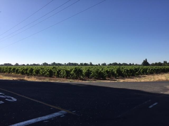 21090 N Tretheway Rd, Acampo, CA for sale - Primary Photo - Image 1 of 1