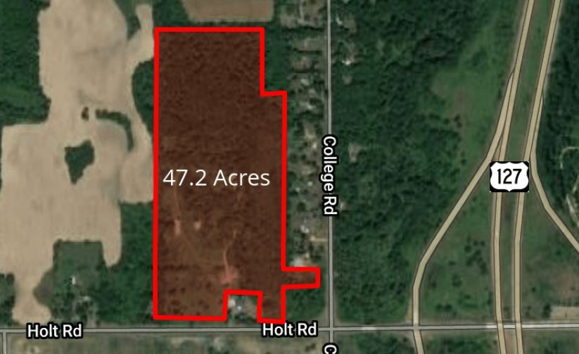 Holt Rd, Holt, MI for sale - Primary Photo - Image 1 of 4