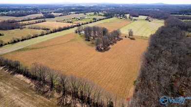 0 Ready Section Rd, Toney, AL - aerial  map view