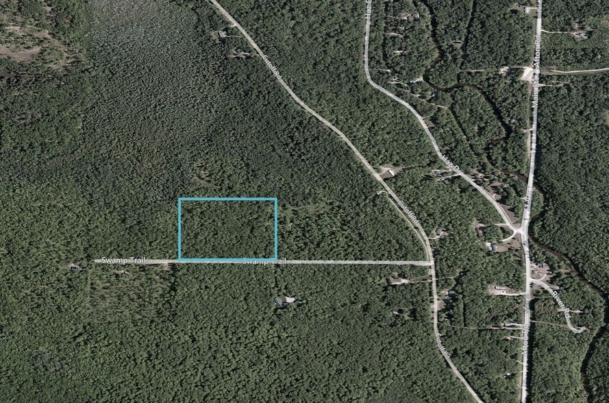 Swamp Trl, Afton, MI 49705