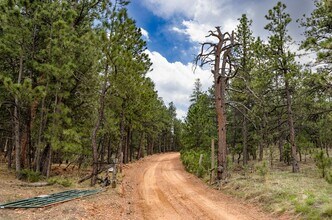 1312 Steamboat Valley Rd, Lyons, CO - AERIAL  map view - Image1