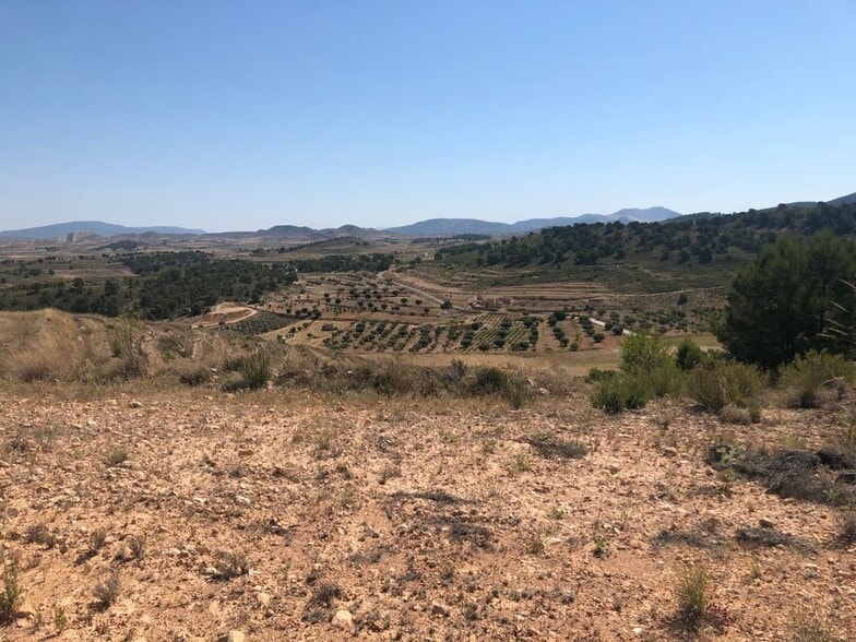 Land in La Zarza for sale - Building Photo - Image 2 of 8