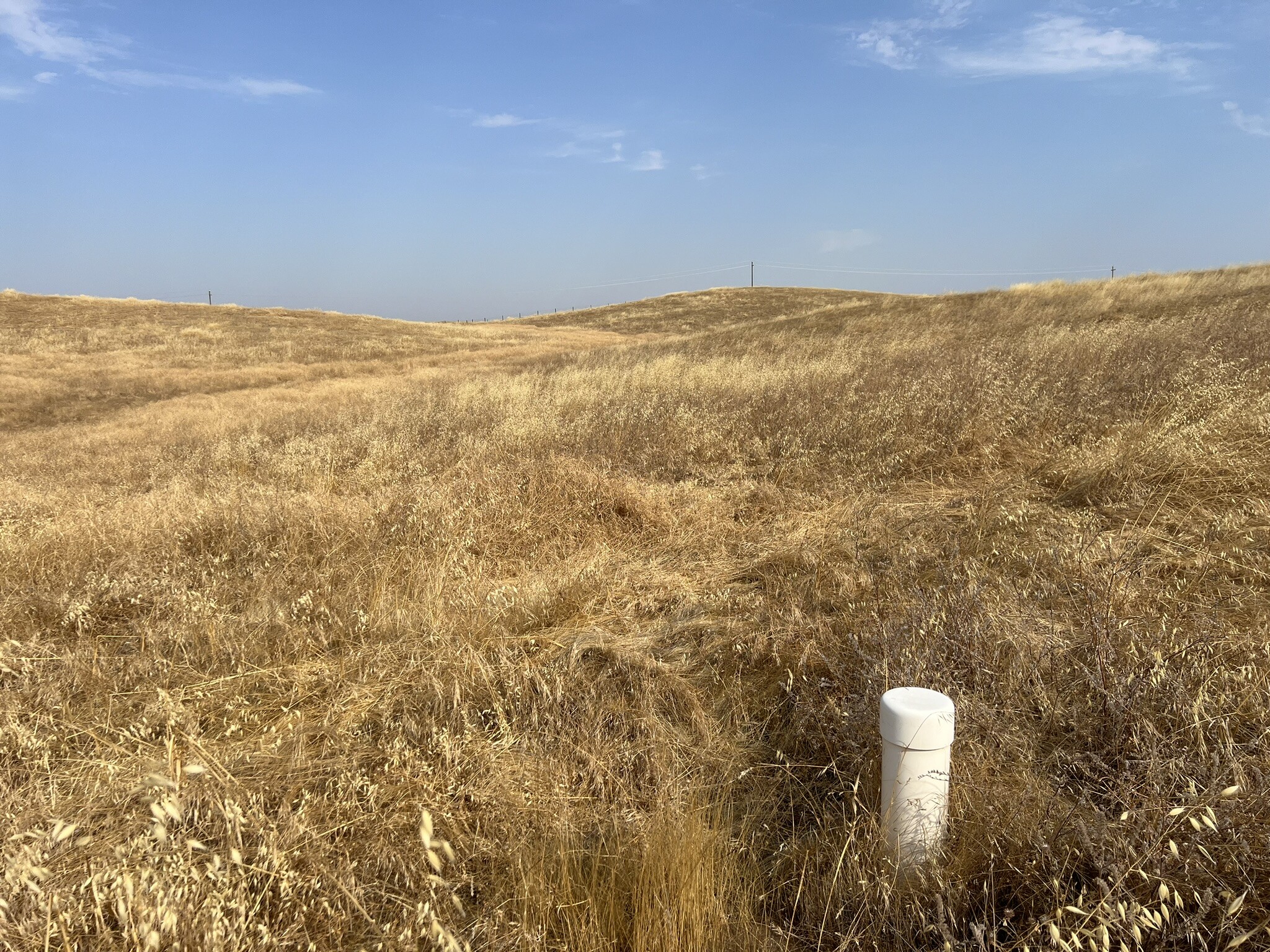 1 mi. N. of Hwy 41 & 145 hwy, Madera, CA for sale Primary Photo- Image 1 of 9