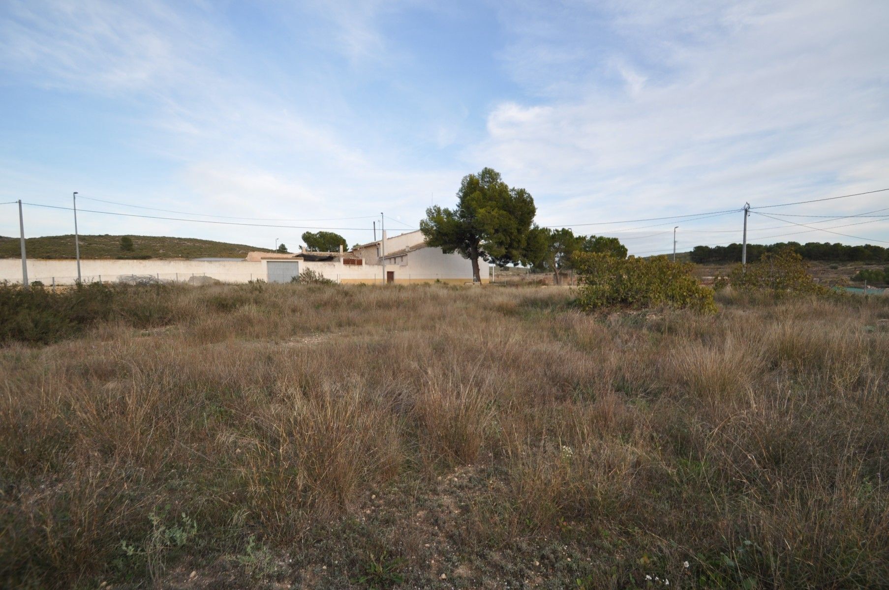Land in Abanilla for sale Building Photo- Image 1 of 8