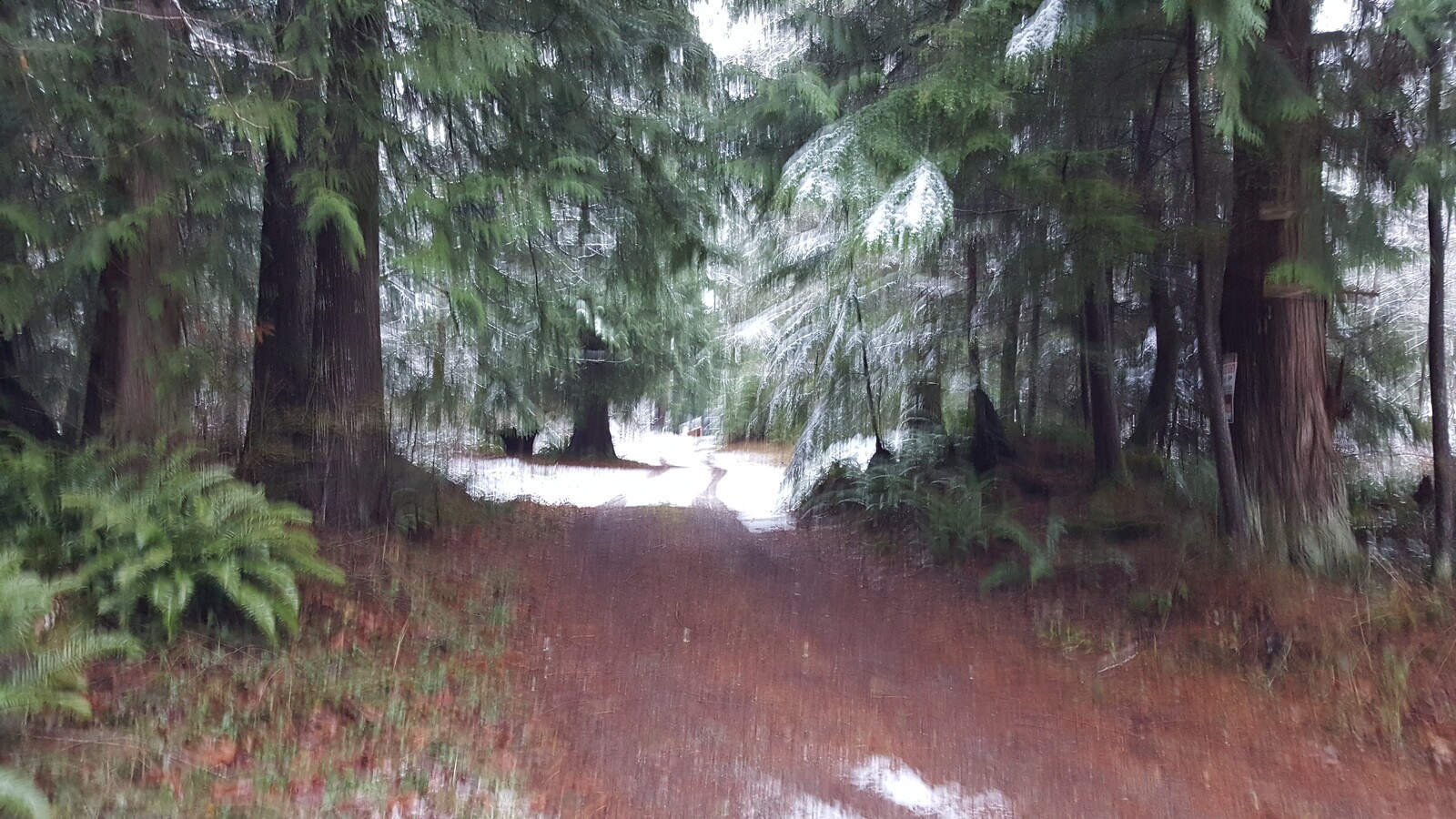 37317 W Lake Walker Dr SE, Enumclaw, WA 98022