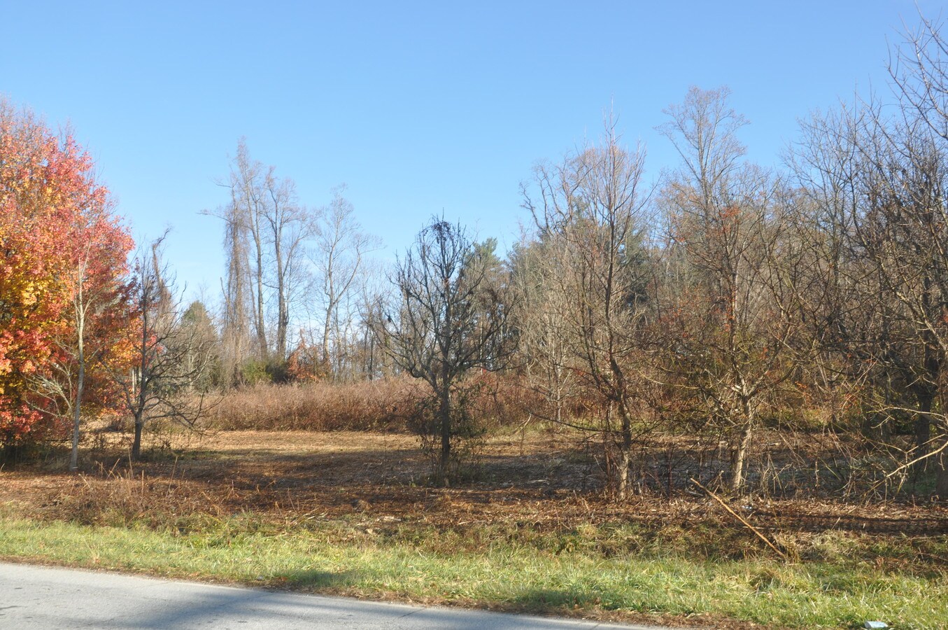 Duncan Hill Rd, Hendersonville, NC 28792