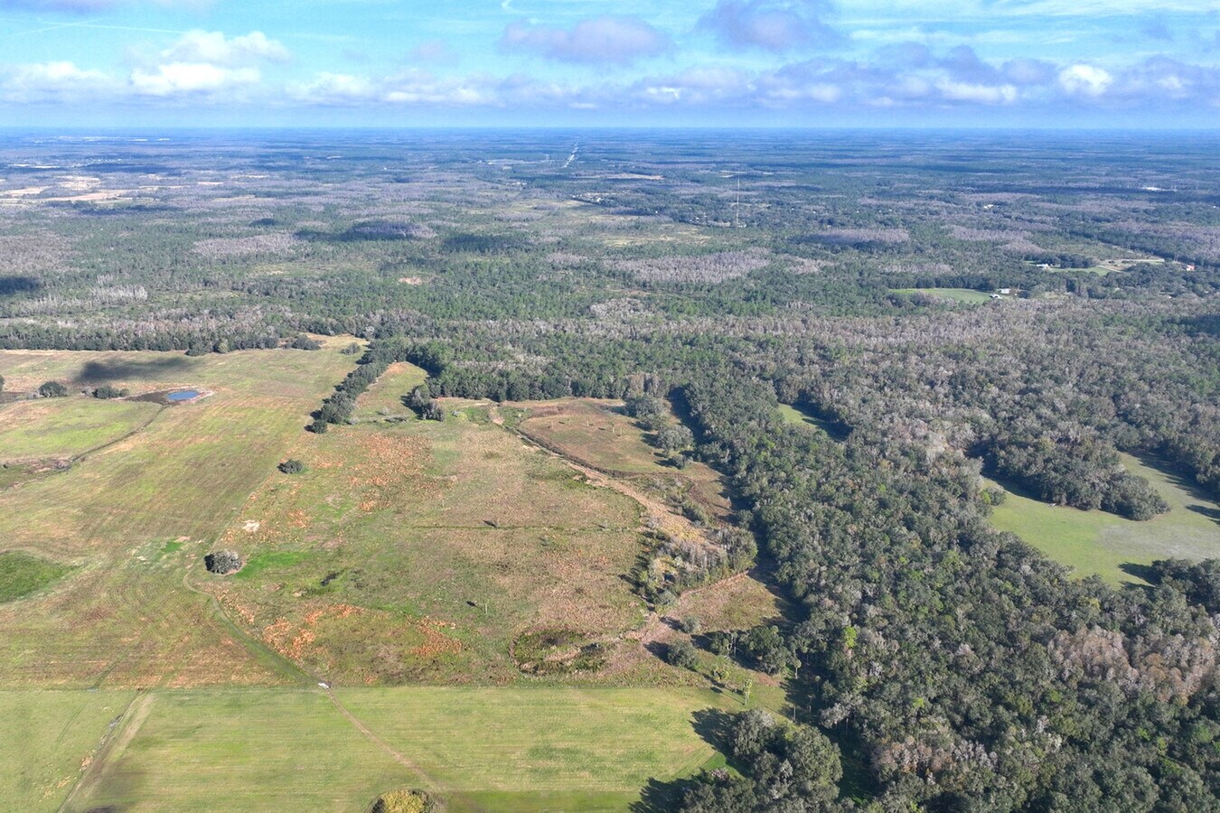 Old Dade City Road, Kathleen, FL 33849 Fox Branch Ranch Mitigation