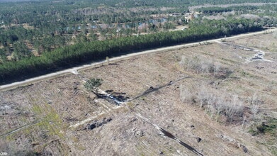 1572 Buck Swamp rd, Brunswick, GA - Aerial map view - Image1