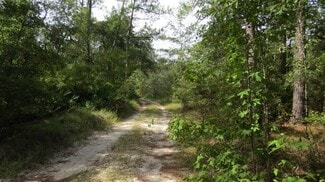 More details for 0 AREA LINE ROAD, Claxton, GA - Land for Sale