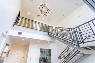 Oak Lane Professional - Loft