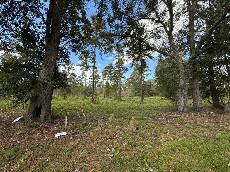 LOT 5 HWY 33 hwy, Centreville, MS for sale - Building Photo - Image 3 of 6