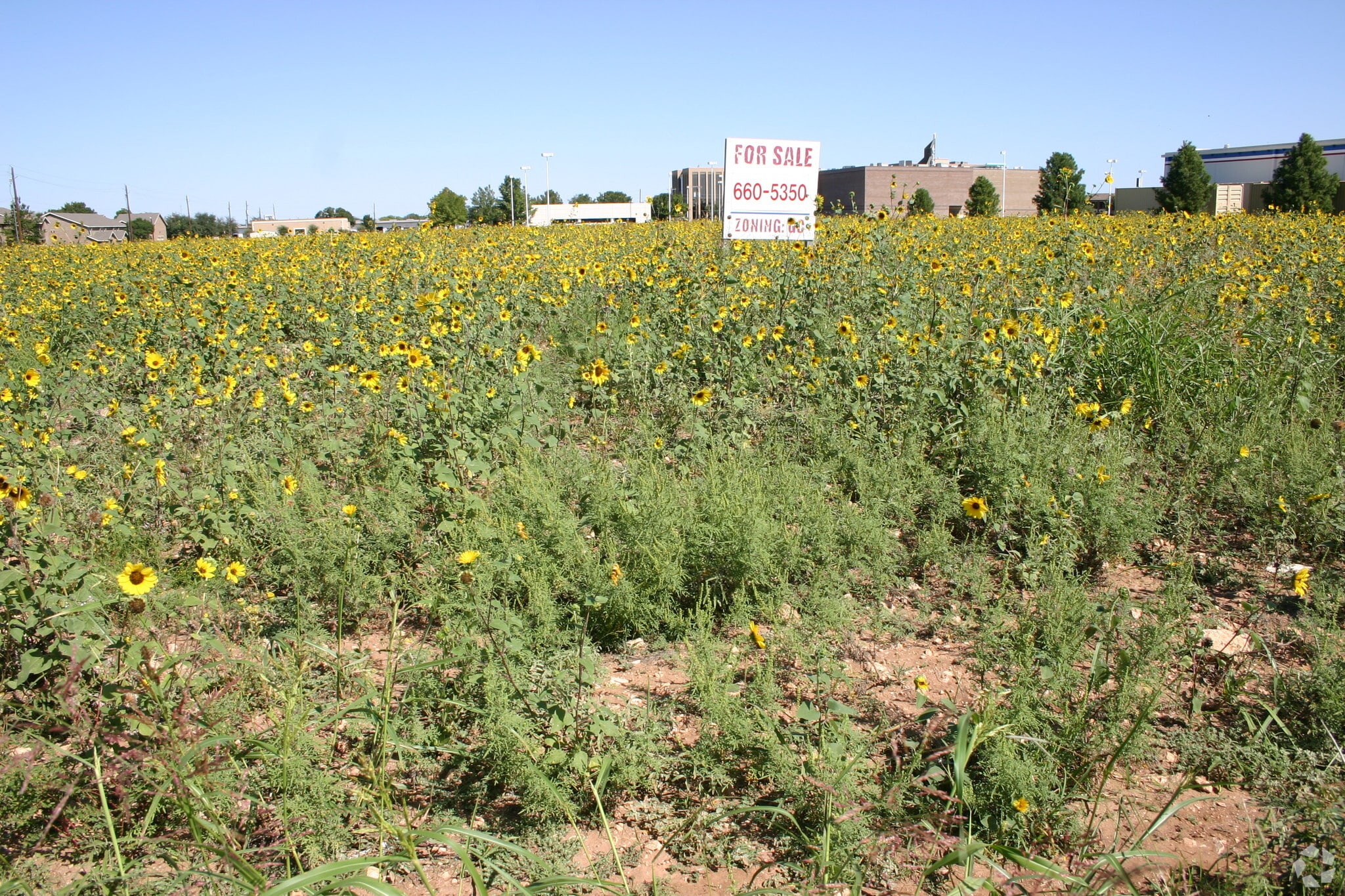 3600 Cedar Run Rd, Abilene, TX for sale Primary Photo- Image 1 of 1