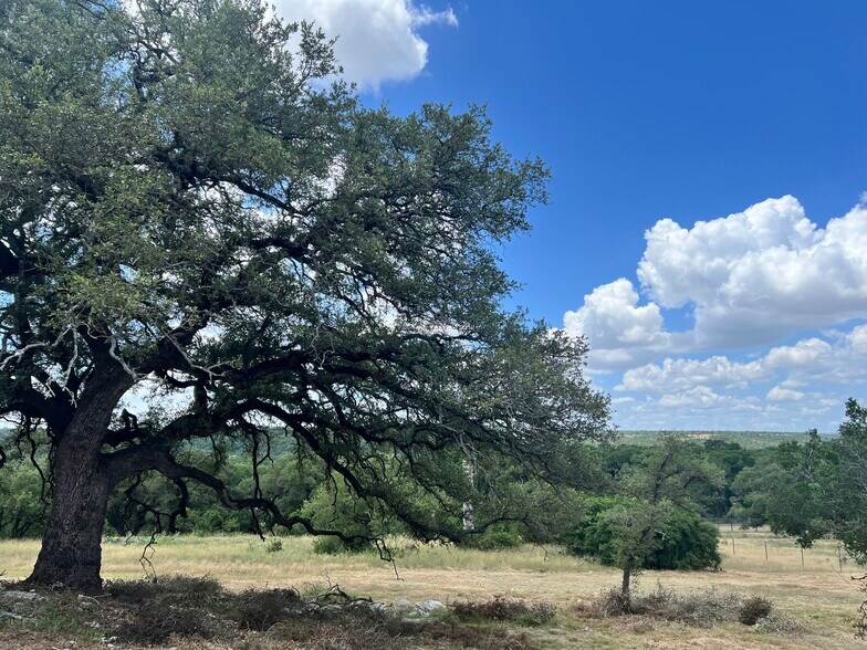 W HWY 29, Georgetown, TX for sale - Other - Image 3 of 6
