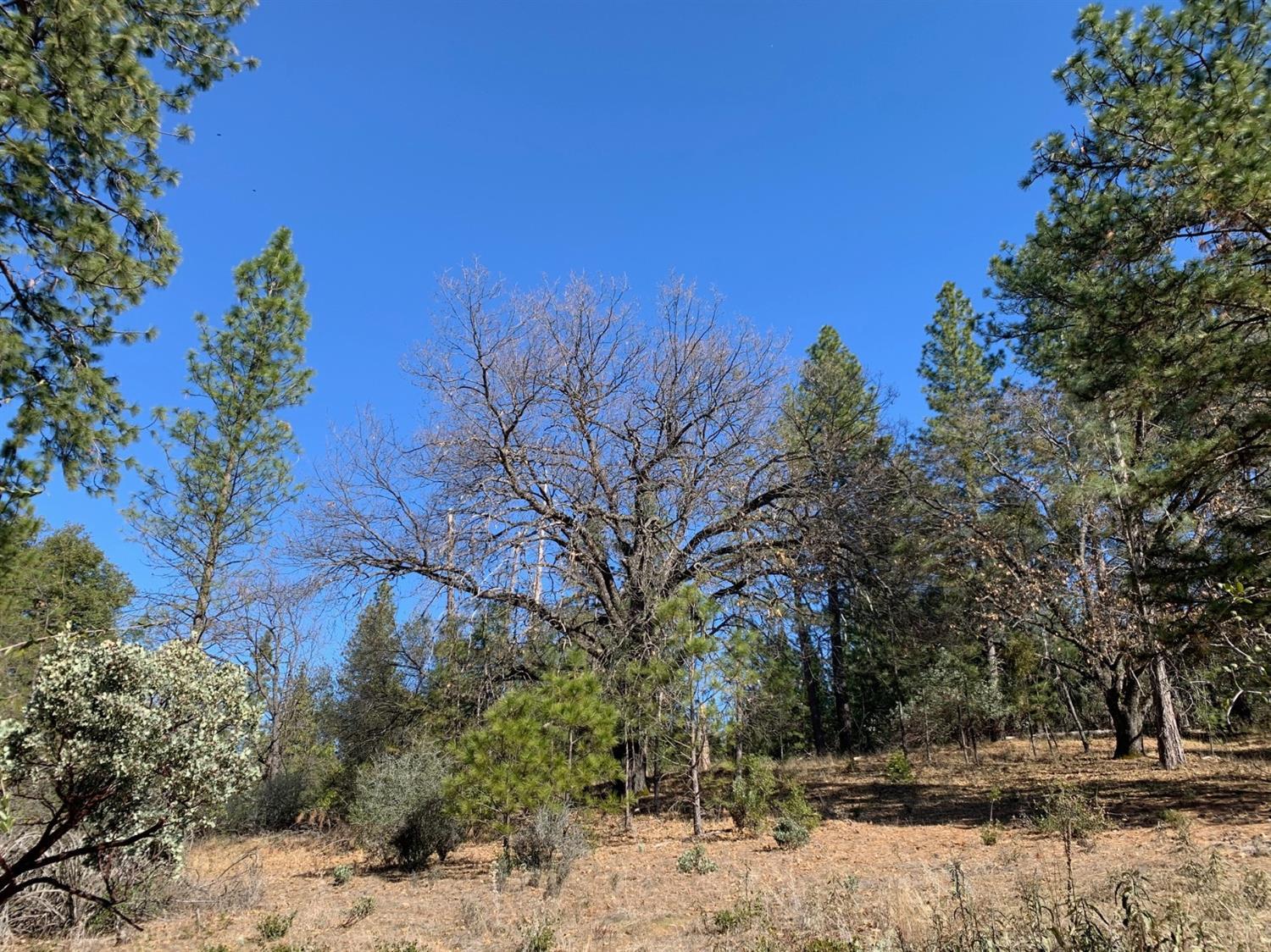 Gray Rock Rd, Somerset, CA 95684