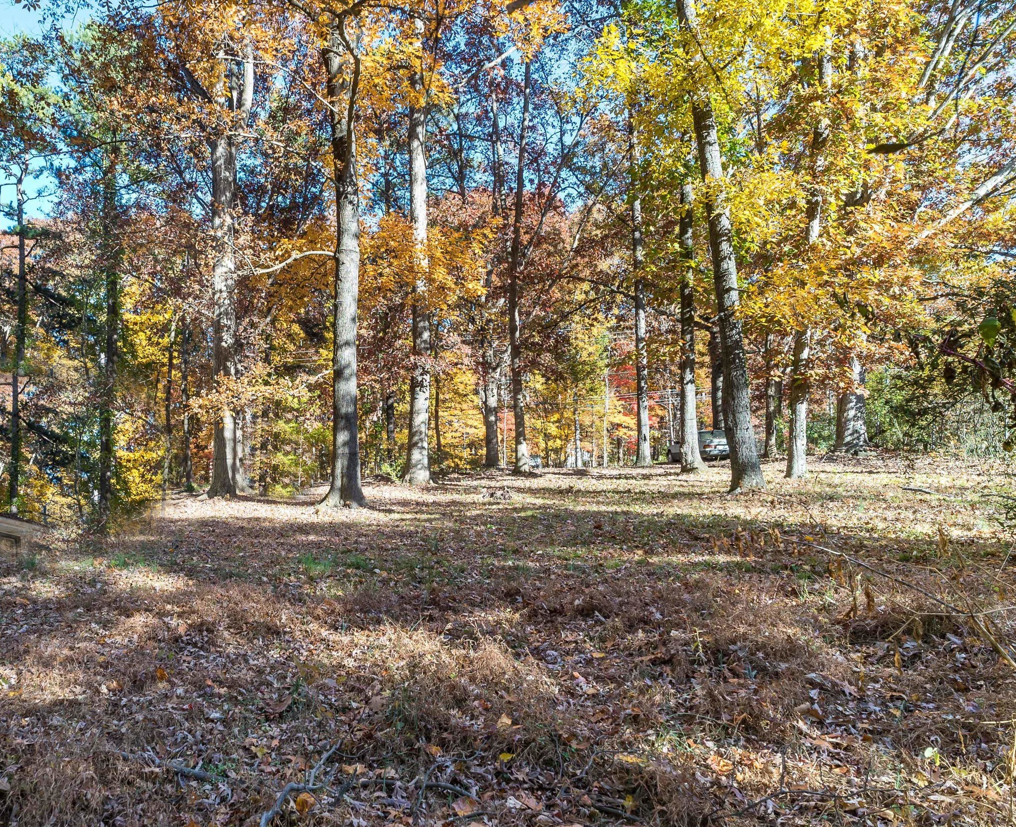 965 Nowell Rd, Raleigh, NC for sale Other- Image 1 of 1