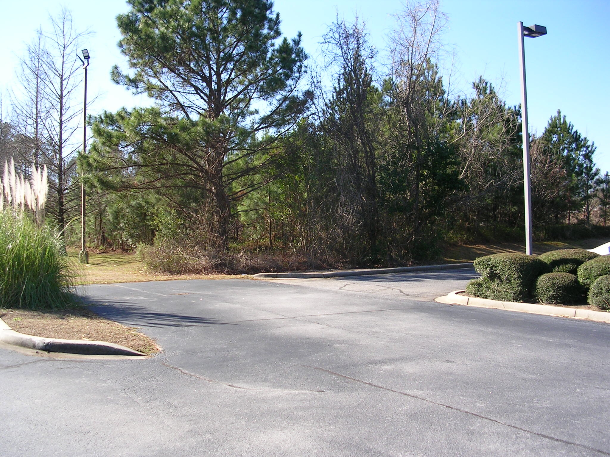 1722 Bush River Road -1, Columbia, SC for sale Primary Photo- Image 1 of 10