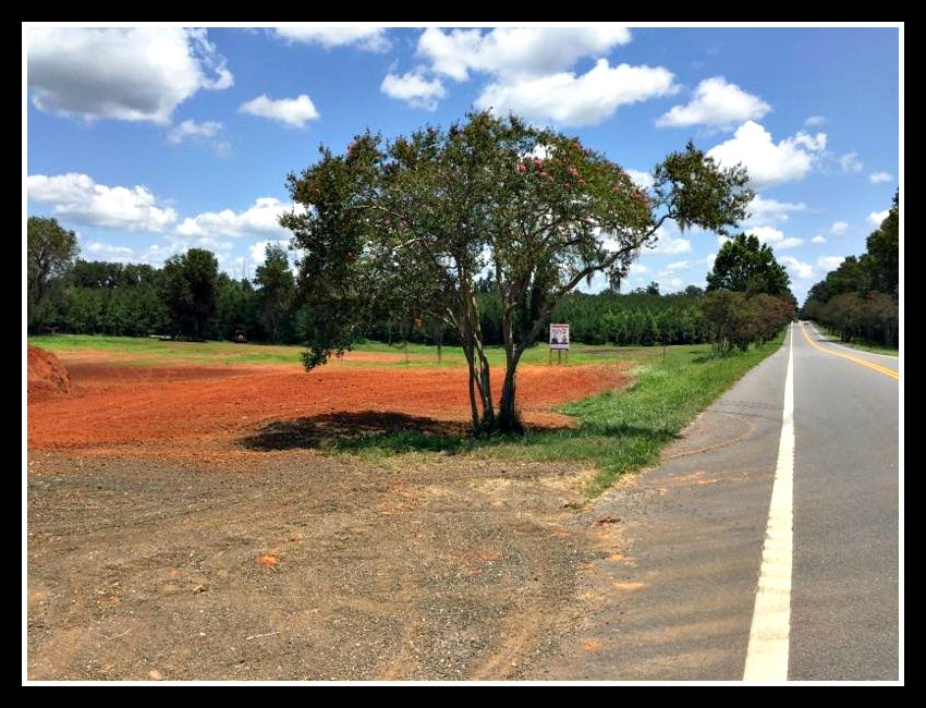 Mahan Dr, Tallahassee, FL for sale Building Photo- Image 1 of 1