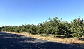 More details for 2150 N Fine Road, Linden, CA - Land for Sale