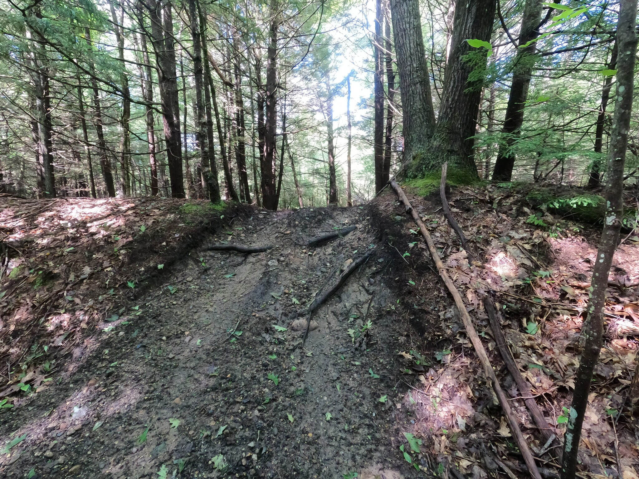 Lincoln Ave, Winchendon, MA 01475 59acre Lot 64 Lincoln Ave, Winchendon MA