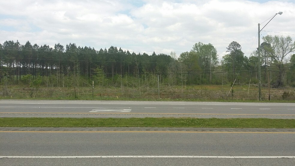 0 US Hwy 278, Piedmont, AL for sale - Building Photo - Image 1 of 1