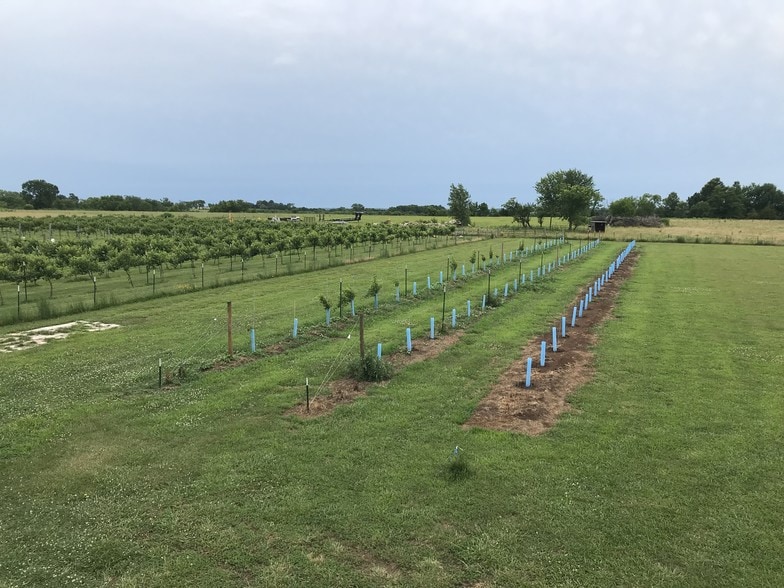 2304 Poplar Rd, Fort Scott, KS for sale - Other - Image 1 of 13