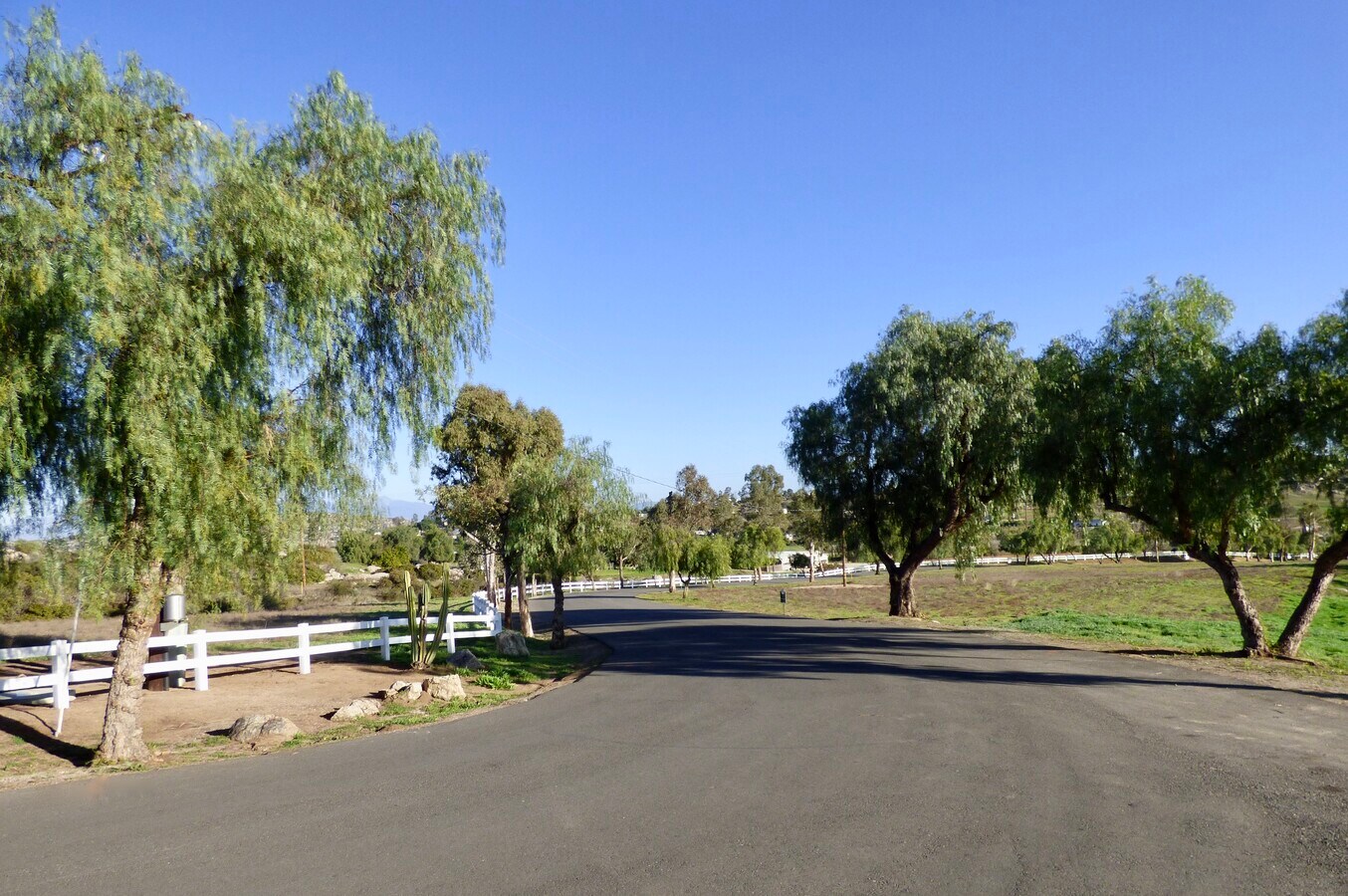 View Photo