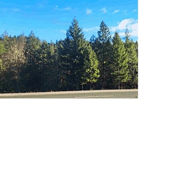 Redwood HIghway, Selma, OR for sale - Primary Photo - Image 1 of 1