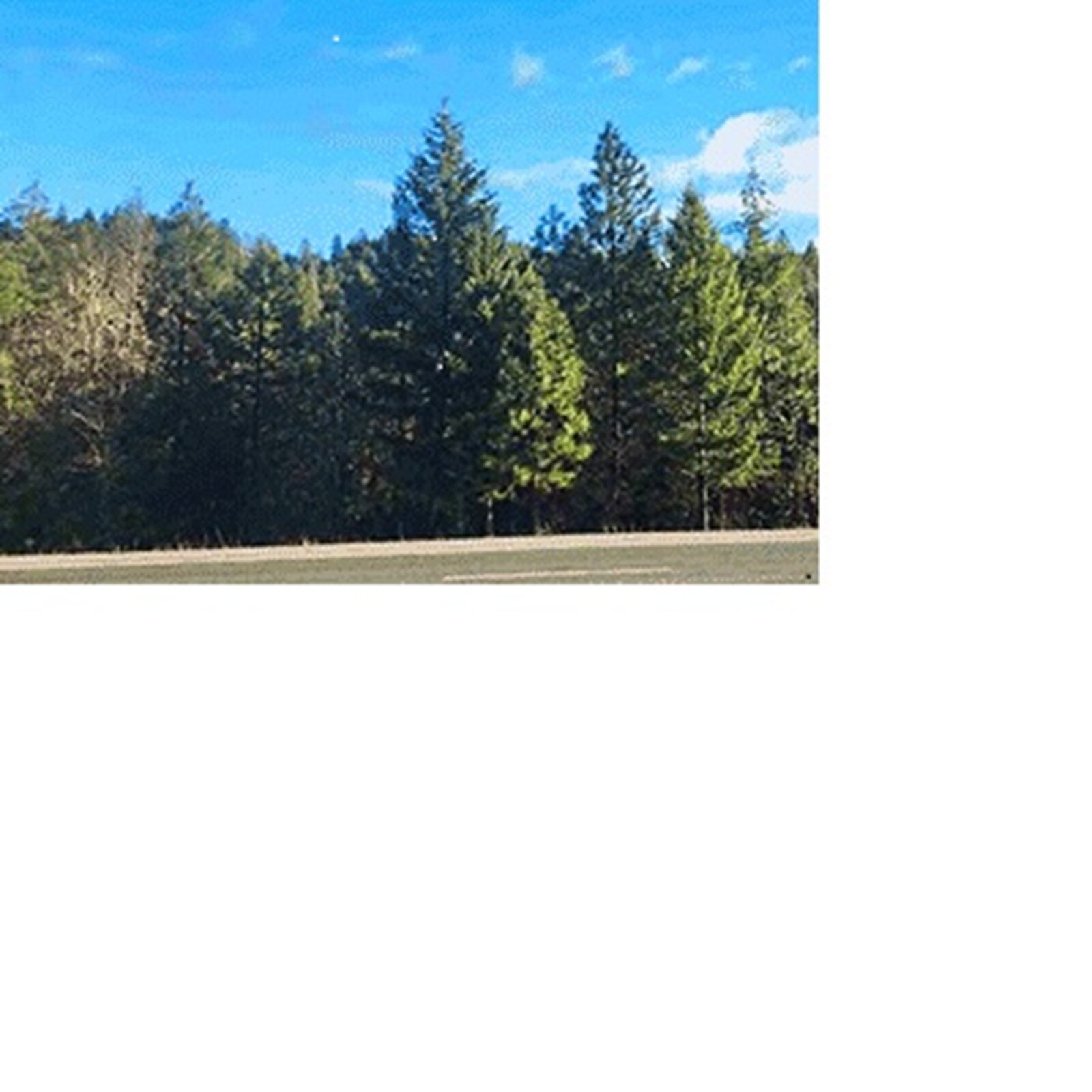 Redwood HIghway, Selma, OR for sale Primary Photo- Image 1 of 1