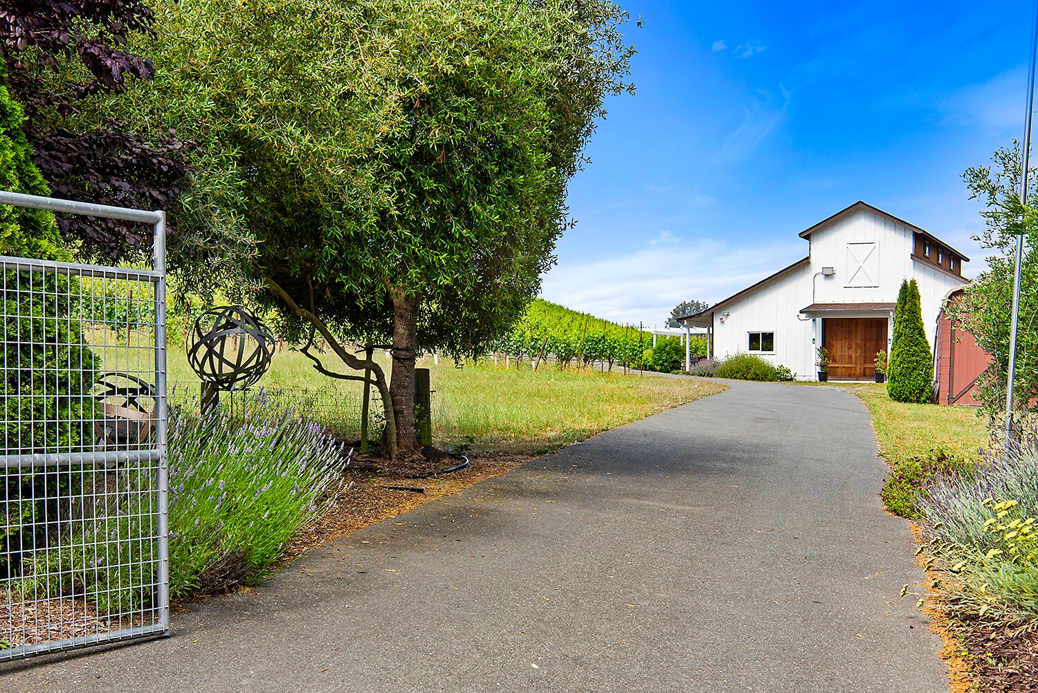 2970 Thorn Rd, Sebastopol, CA for sale Primary Photo- Image 1 of 1