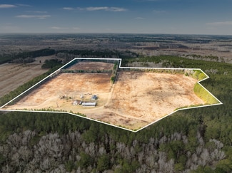 More details for 247 Team Bishop Ln, Ruffin, SC - Land for Sale